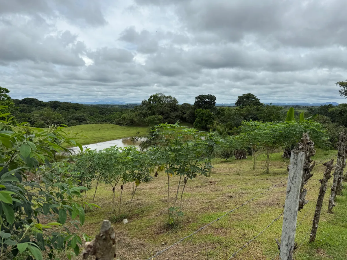 Photo of the lot for sale in La Chorrera