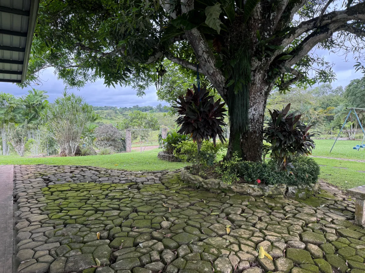 Photo of the lot for sale in La Chorrera