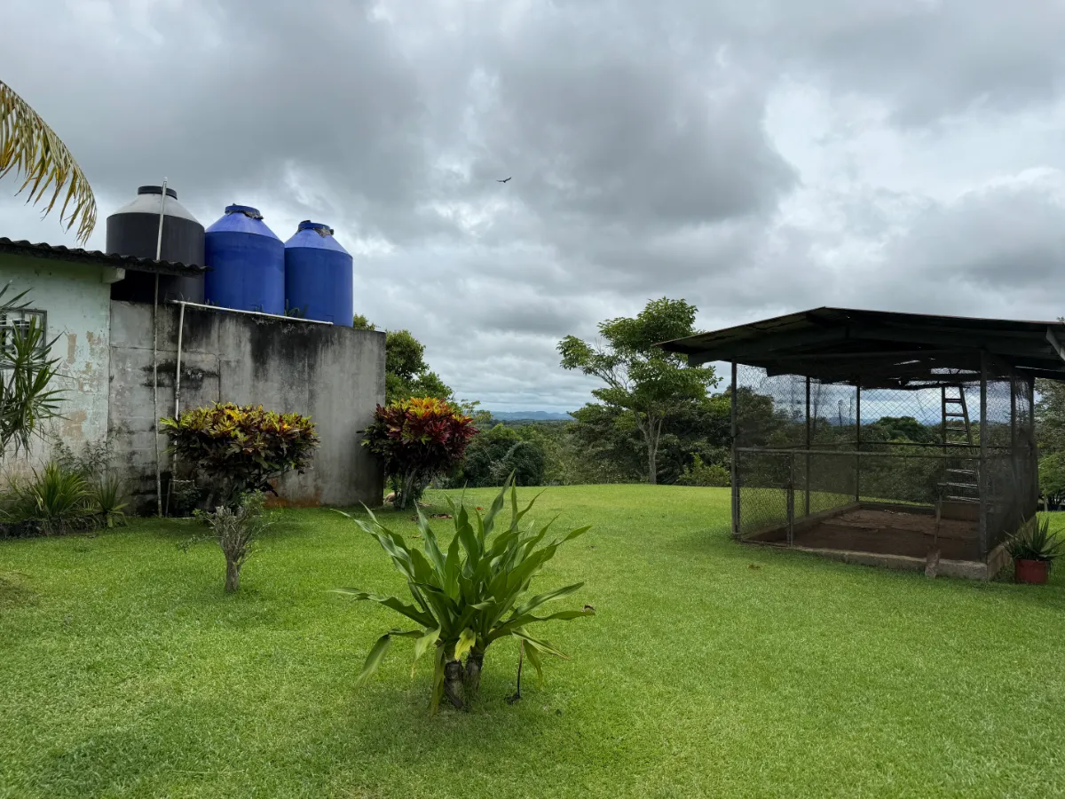 Photo of the lot for sale in La Chorrera