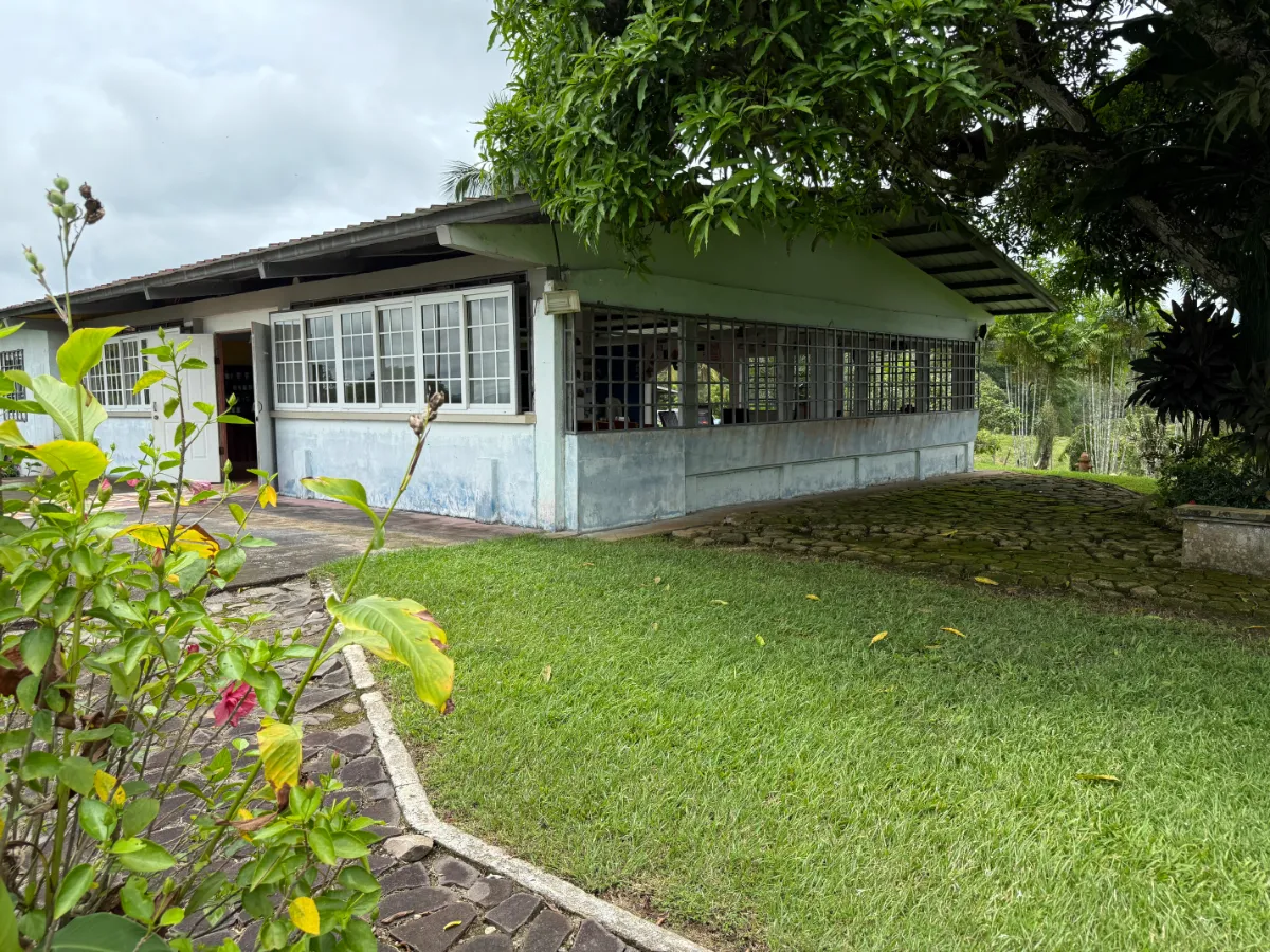 Photo of the lot for sale in La Chorrera