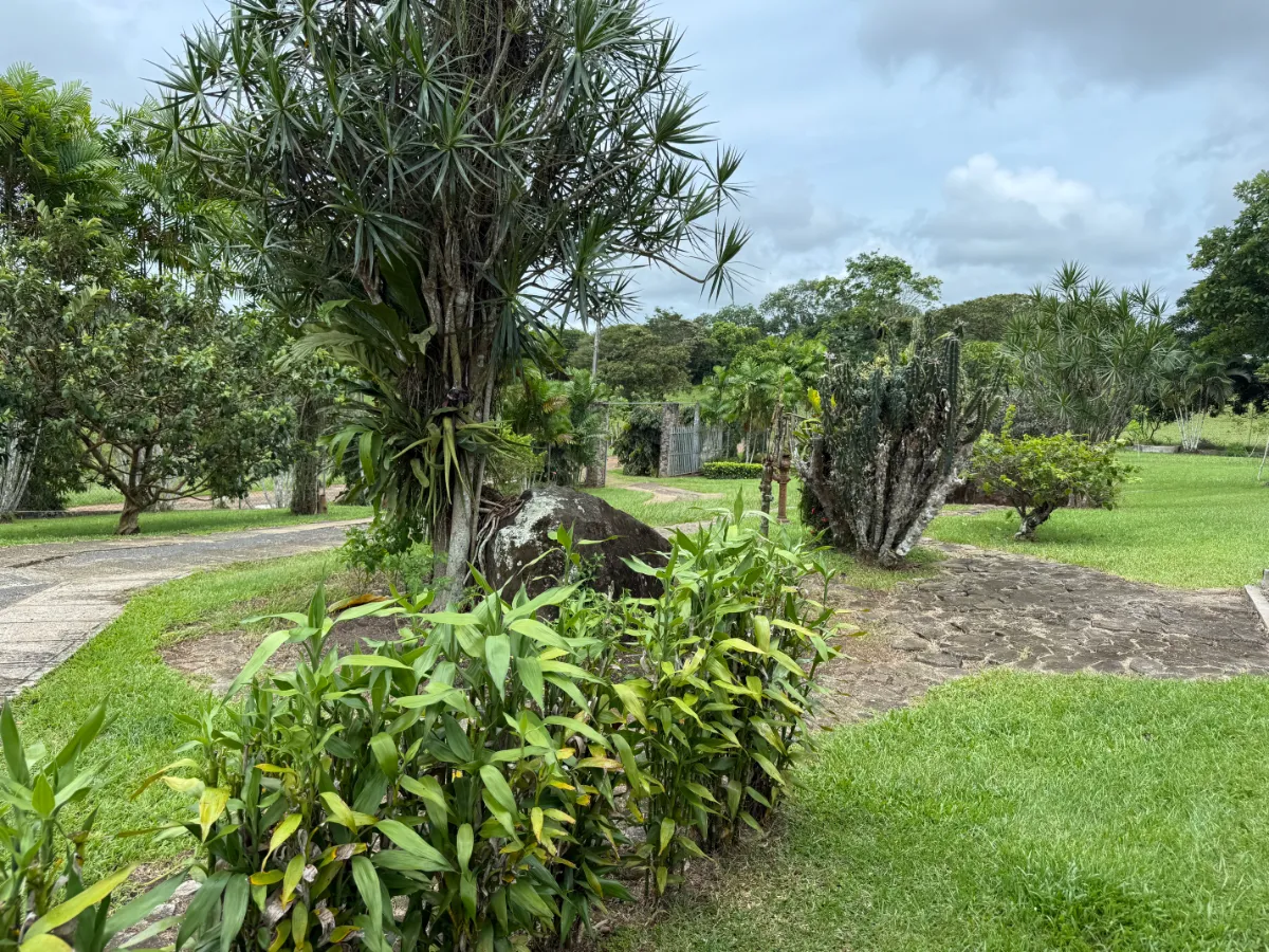 Photo of the lot for sale in La Chorrera
