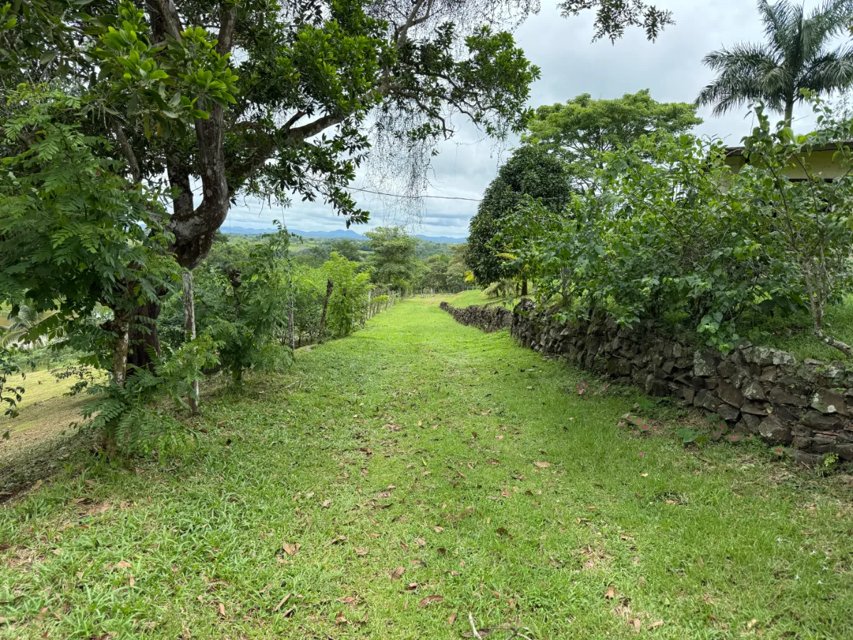 Photo of the lot for sale in La Chorrera