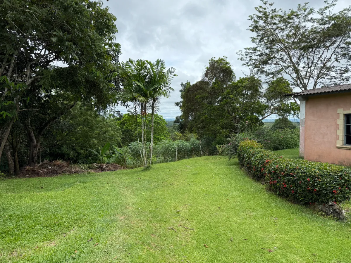 Photo of the lot for sale in La Chorrera