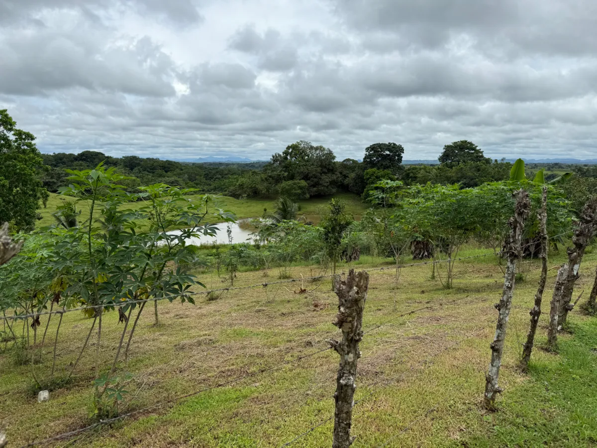 Photo of the lot for sale in La Chorrera