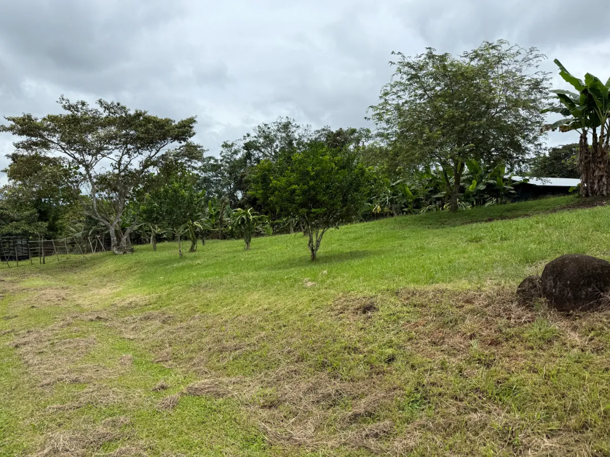 Photo of the lot for sale in La Chorrera