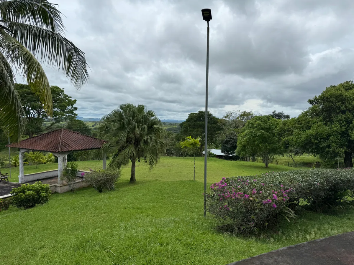 Photo of the lot for sale in La Chorrera